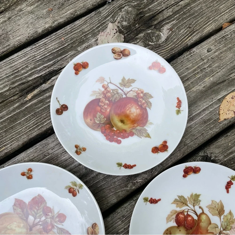 Five Vintage Bavaria Fruit Plates White Porcelain Debra Germany - Set of 5